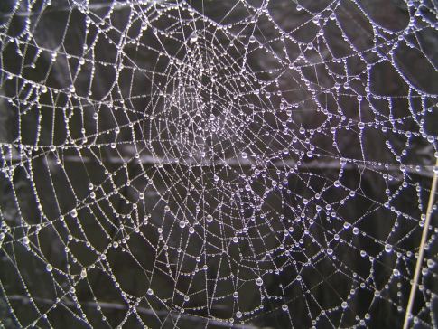 MINOLTA DIGITAL CAMERA