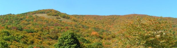 Modern Homesteading–What’s That?