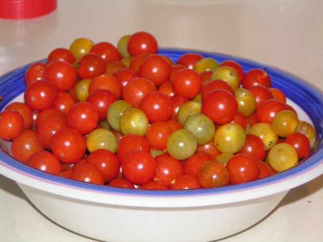 MINOLTA DIGITAL CAMERA