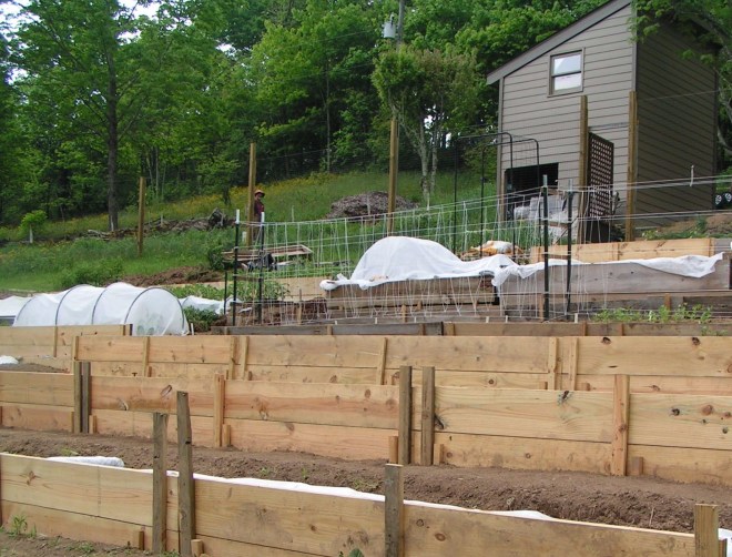 MINOLTA DIGITAL CAMERA