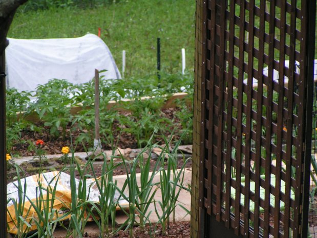 These Beds Are Not for&nbsp;Sleeping